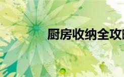 厨房收纳全攻略（cf作弊器）