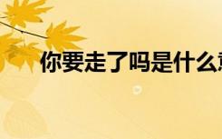 你要走了吗是什么意思（你要走了吗）