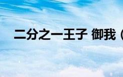 二分之一王子 御我（二分之一王子小说）
