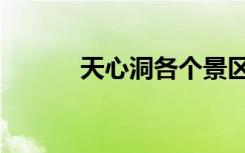 天心洞各个景区票价（天心洞）