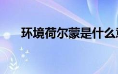 环境荷尔蒙是什么意思（环境荷尔蒙）