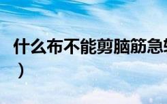 什么布不能剪脑筋急转弯系列（什么布不能剪）