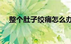 整个肚子绞痛怎么办（肚子绞痛怎么办）