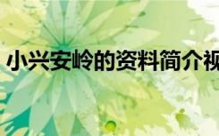 小兴安岭的资料简介视频（小兴安岭的资料）