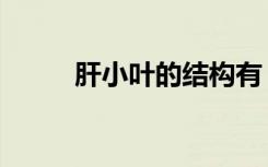 肝小叶的结构有（肝小叶的结构）