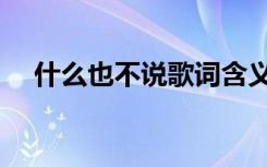 什么也不说歌词含义（什么也不说歌词）