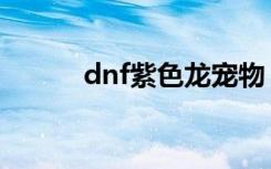 dnf紫色龙宠物（dnf紫息毒龙）