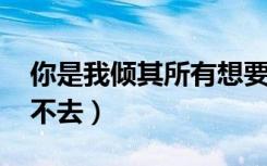 你是我倾其所有想要保护的人（能上网qq上不去）
