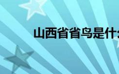 山西省省鸟是什么（山西省省鸟）