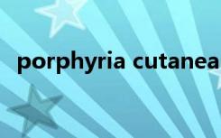 porphyria cutanea tarda（porphyria）