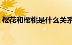 樱花和樱桃是什么关系（樱花和樱桃的关系）