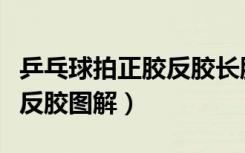 乒乓球拍正胶反胶长胶生胶图解（乒乓球正胶反胶图解）