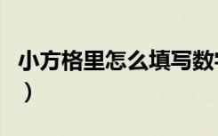 小方格里怎么填写数字（小方格里怎么打对勾）