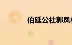 伯延公社郭凤林（伯延公社）