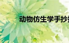 动物仿生学手抄报（动物仿生学）