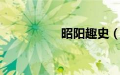 昭阳趣史（昭阳e41g）