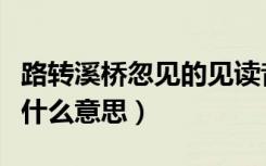 路转溪桥忽见的见读音（路转溪桥忽见的见是什么意思）