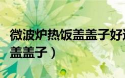 微波炉热饭盖盖子好还是不盖好（微波炉热饭盖盖子）