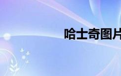 哈士奇图片（哈斯其）