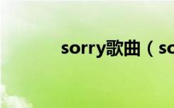 sorry歌曲（sorry sorrymv）