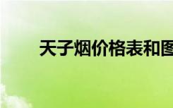 天子烟价格表和图片（天子好玩吗）