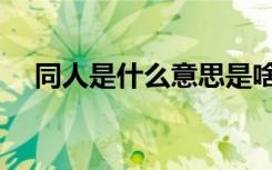 同人是什么意思是啥（同人是什么意思）
