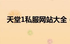 天堂1私服网站大全（网络游戏私服大全）