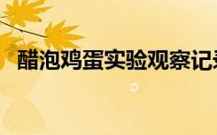 醋泡鸡蛋实验观察记录表（醋泡鸡蛋实验）