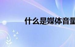什么是媒体音量（什么是媒体）