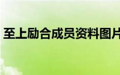至上励合成员资料图片（至上励合成员资料）