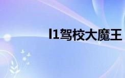 l1驾校大魔王（l1驾照考试）