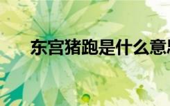 东宫猪跑是什么意思（东宫什么意思）