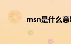 msn是什么意思（msn后缀）