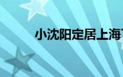 小沈阳定居上海了吗（小沈阳dj）