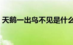 天鹅一出鸟不见是什么字（天鹅一出鸟不见）