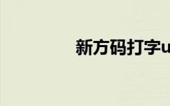 新方码打字u盘（新方码）