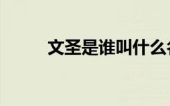 文圣是谁叫什么名字（文圣是谁）