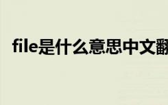file是什么意思中文翻译（file是什么意思）