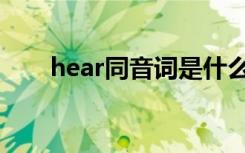 hear同音词是什么（hear的同音词）