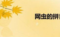 网虫的拼音（网虫）