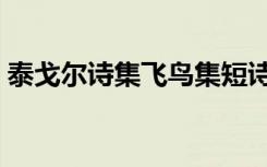 泰戈尔诗集飞鸟集短诗（泰戈尔诗集飞鸟集）
