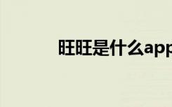 旺旺是什么app（旺旺是什么）