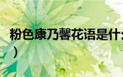 粉色康乃馨花语是什么意思（粉色康乃馨花语）