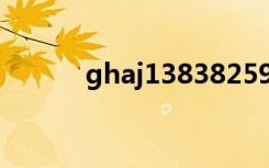 ghaj13838259444（ghajini）