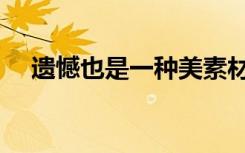 遗憾也是一种美素材（遗憾也是一种美）