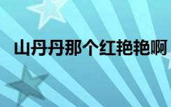 山丹丹那个红艳艳啊（山丹丹那个红艳艳）