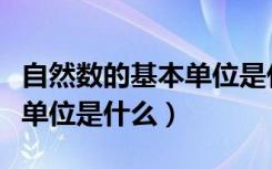 自然数的基本单位是什么字母（自然数的基本单位是什么）