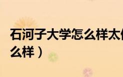 石河子大学怎么样太偏远了吧（石河子大学怎么样）
