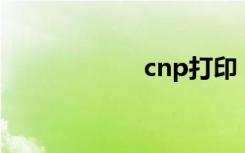 cnp打印（cnpda）
