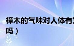 樟木的气味对人体有害（樟木的气味对人有害吗）
